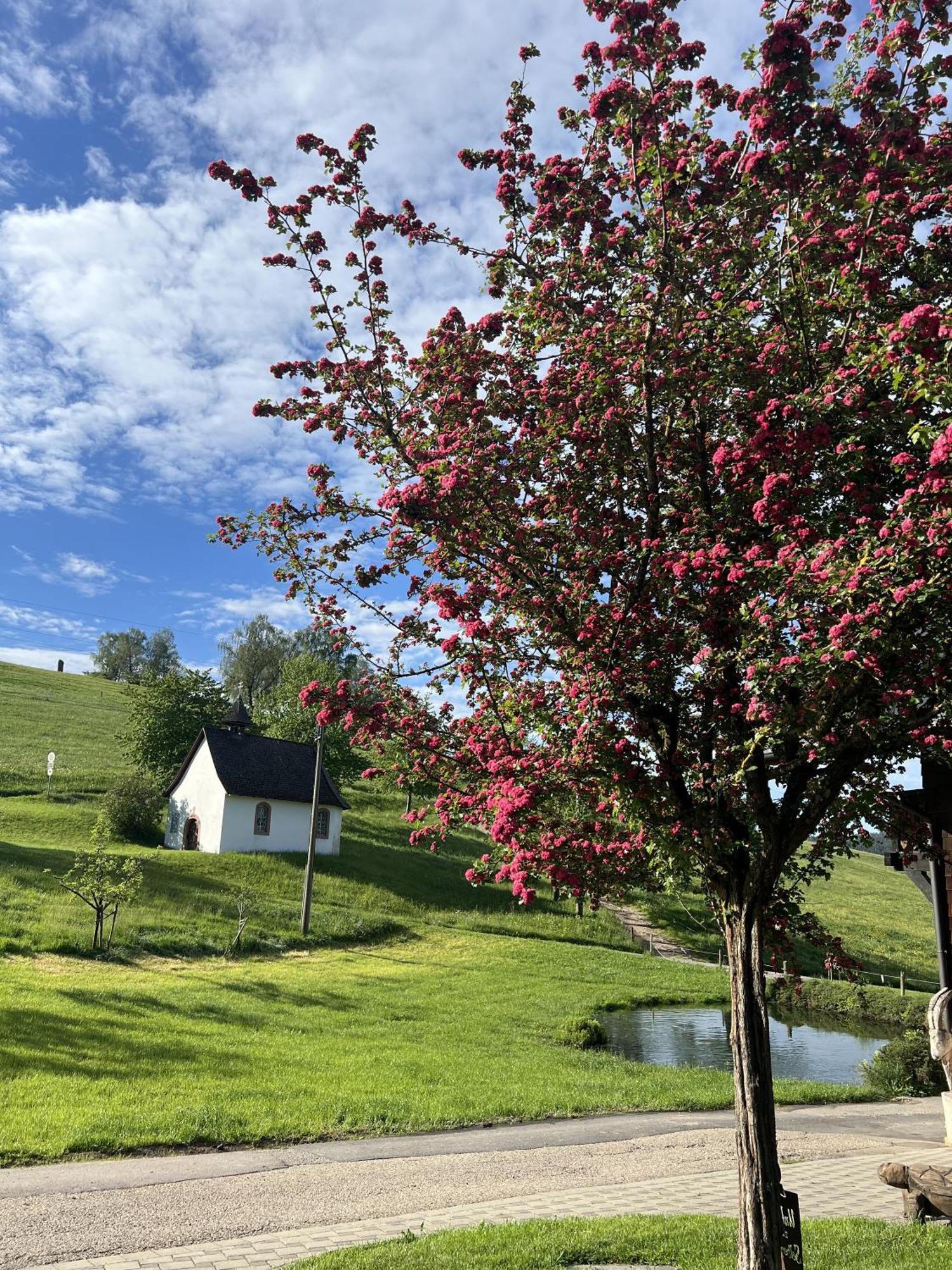 Kapellenhof Ferienwohnungen Triberg im Schwarzwald Extérieur photo